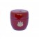 Boîte à Thé Natsume Rouge Shungiku